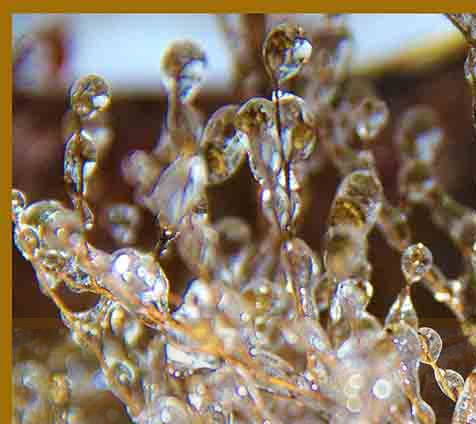 Austin Fine Art Gallery