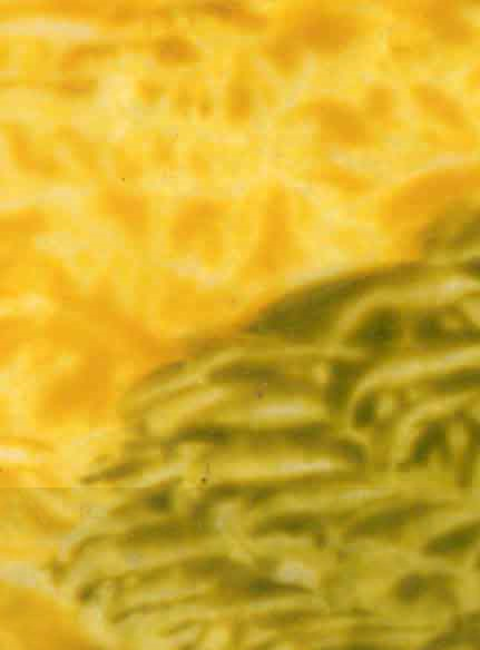 Austin Fine Art Gallery