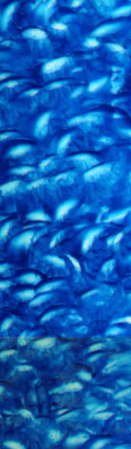 Austin Fine Art Gallery