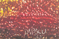 Austin Paintings For Sale